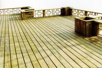 ʲôǷذ(yng)_(ti)Ҫxذ